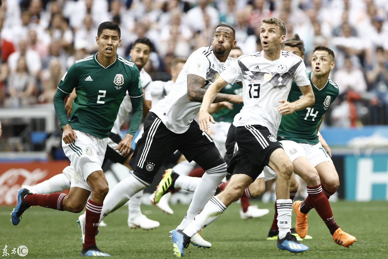 波士顿凯尔特人队